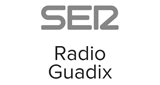 Logotipo de Radio Guadix