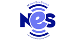Logotipo de NES Nueva Era Sonica