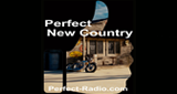 Logotipo de Perfect New Country