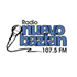 Logotipo de Radio Nuevo Baztan
