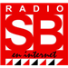 Logotipo de Radio San Borondón