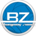 Logotipo de Bumping Zone